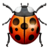 :beetle: :beetle: