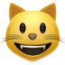 :smiley_cat: :smiley_cat: