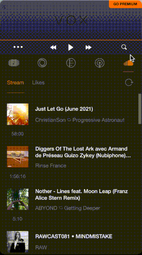 VOX_search_bug